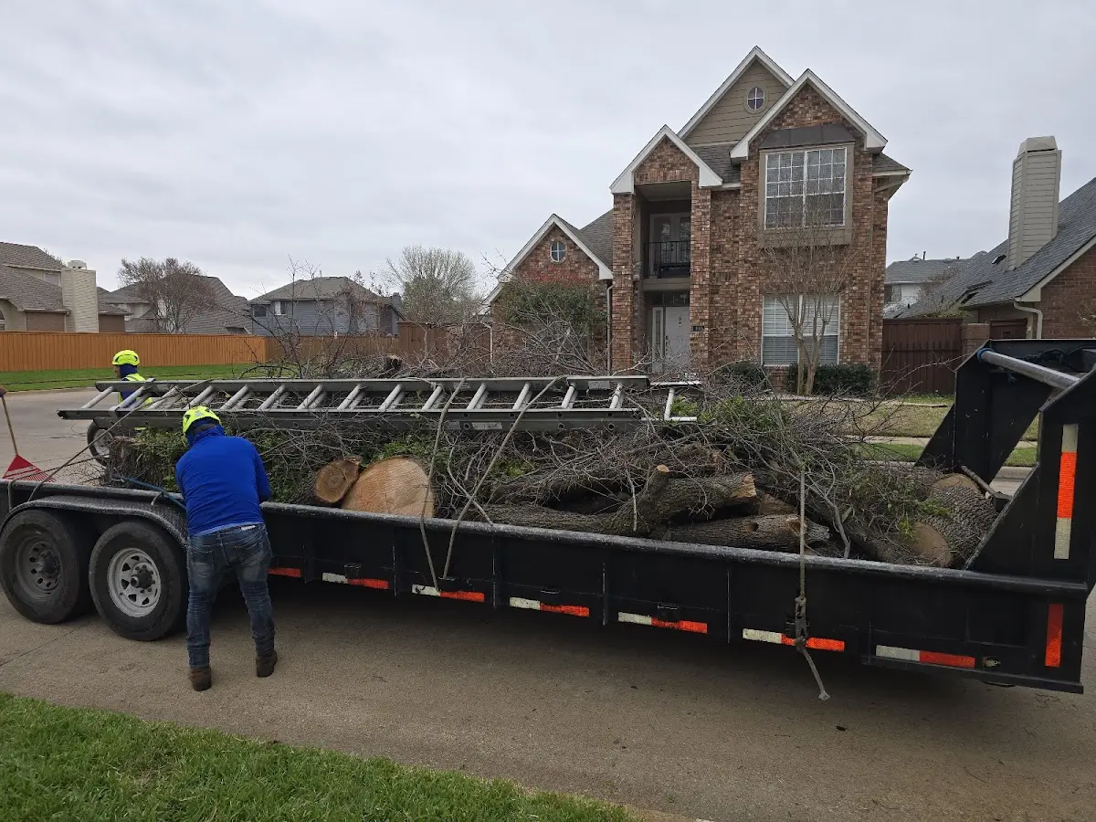 Expert Tree Fertilization with proper safety equipment in Highlandville